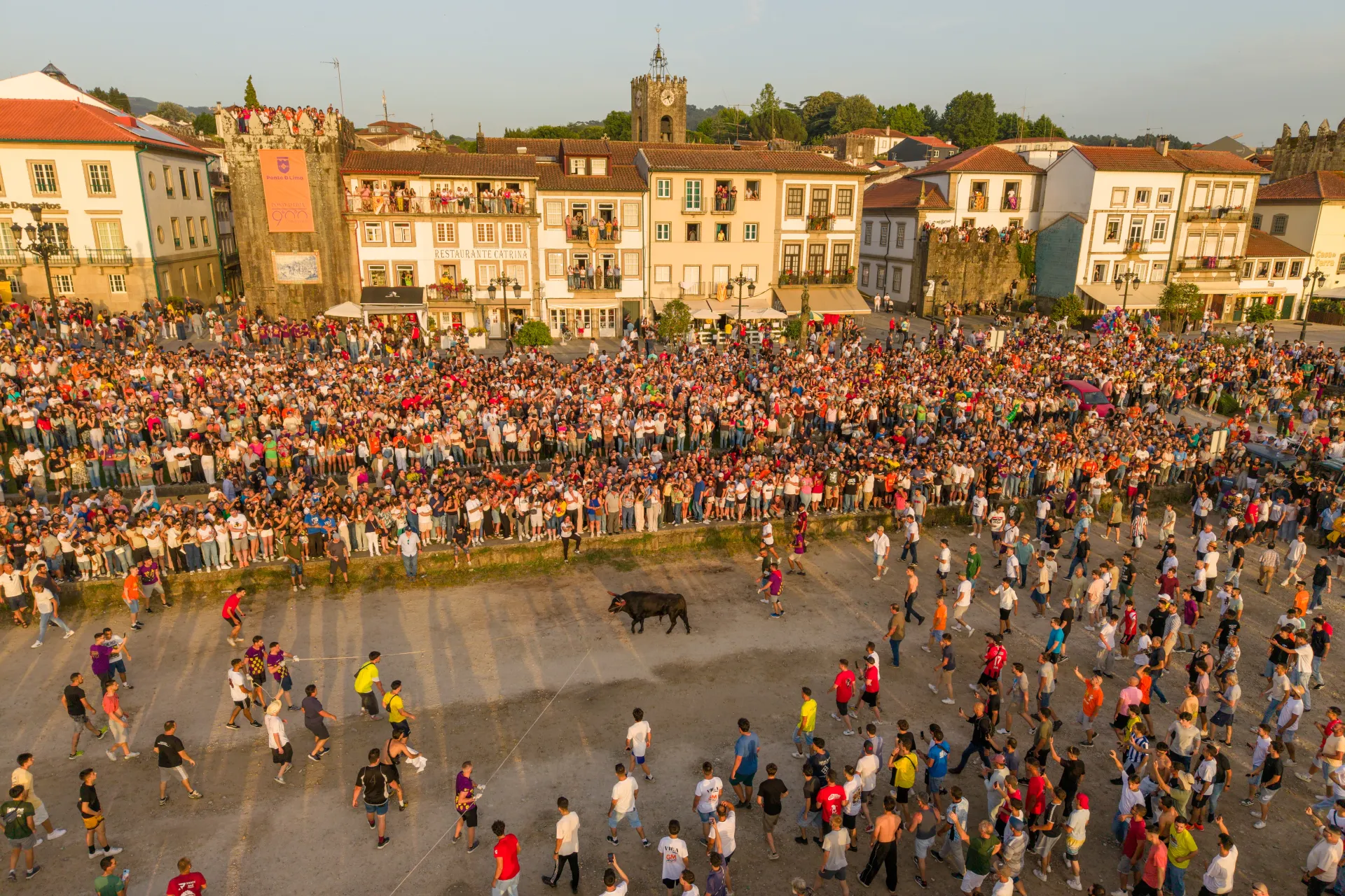 Vaca das Cordas — Ponte de Lima