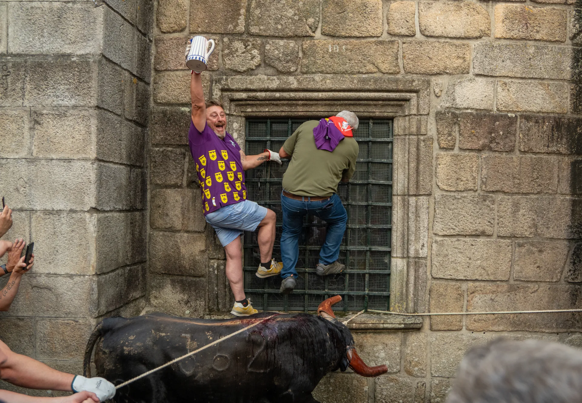 Vaca das Cordas — Ponte de Lima