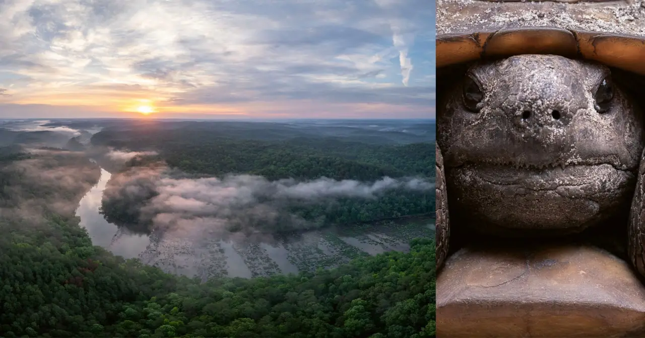 Mac Stone: Décadas a Documentar a 'Amazónia Americana'