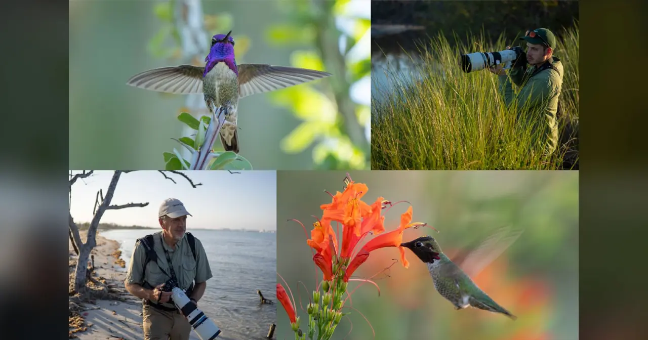 OM System Patrocina Wild Birds Revealed: Aves Como Nunca Viste